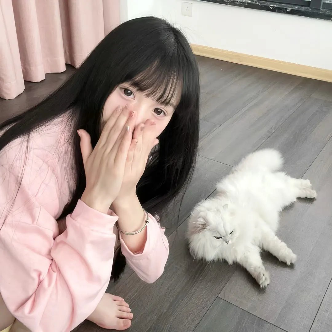 醉拳无敌